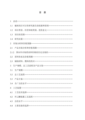 环己酮装置预可研报告.doc