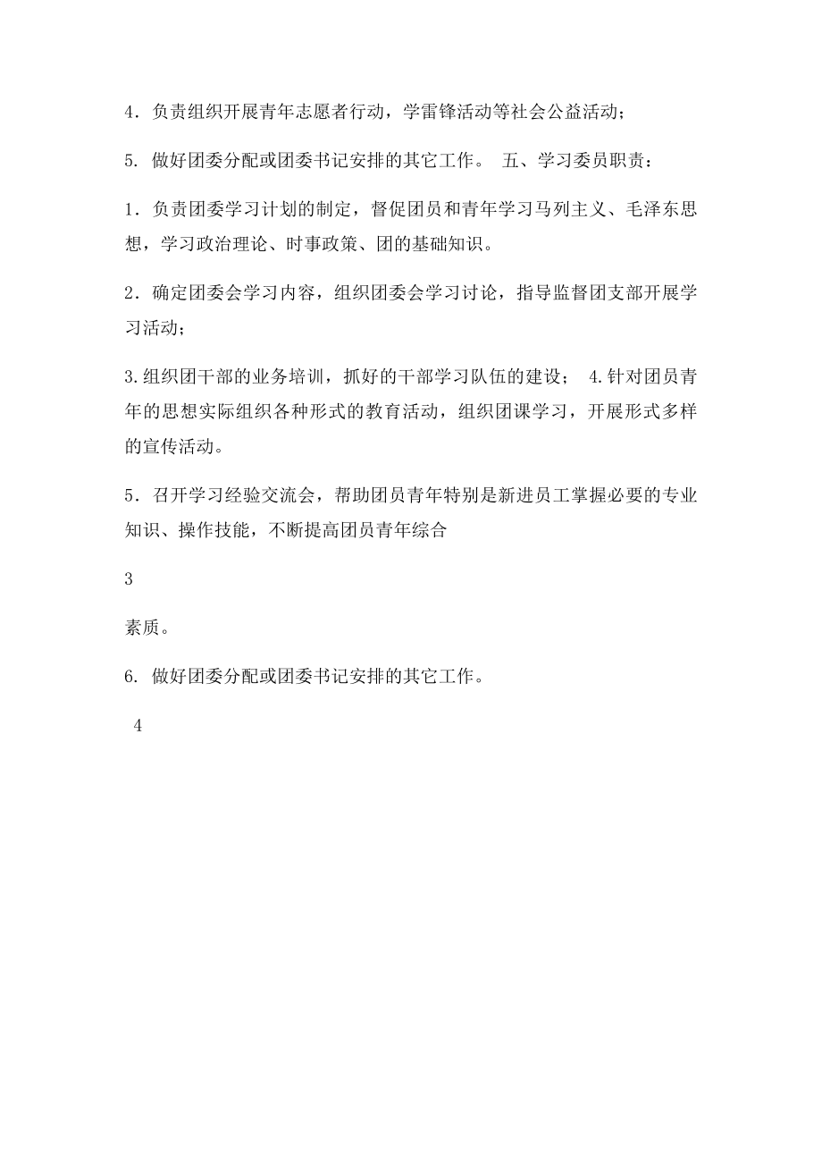 团委委员分工及职责(1).docx_第3页