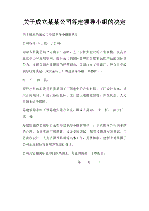 关于成立某某公司筹建领导小组的决定.docx