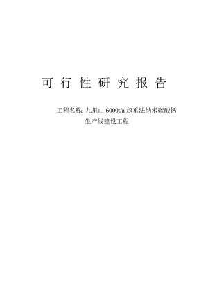 6000吨超重法纳米碳酸钙生产线建设工程可行性研究报告.doc