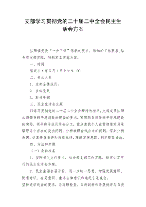 支部学习贯彻党的二十届二中全会民主生活会方案.docx