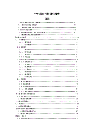 某某广场可行性研究报告.doc