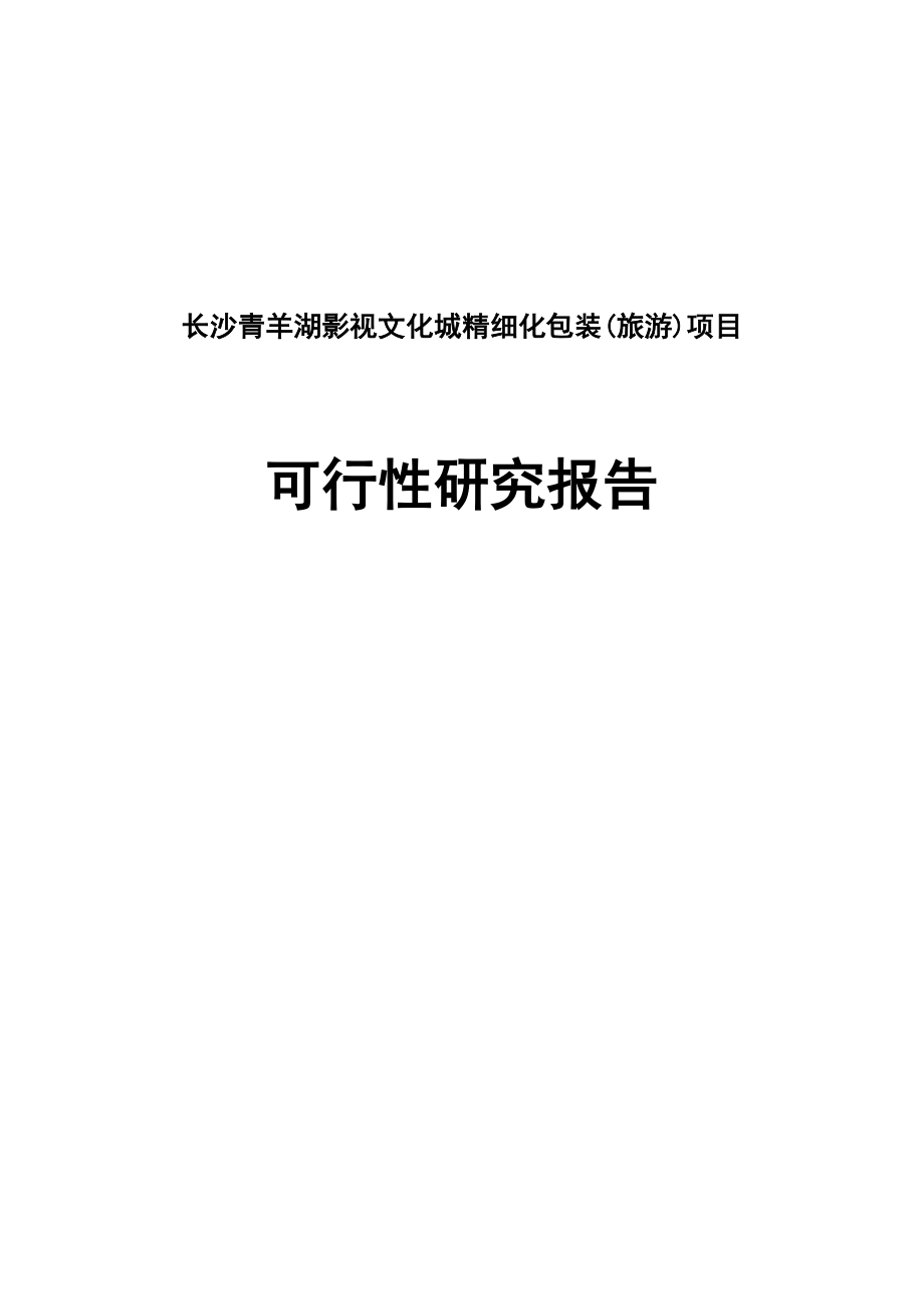 长沙青羊湖影视文化城精细化包装(旅游)项目可行性研究报告.doc_第1页