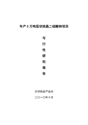 产5万吨层状结晶二硅酸钠项目可行性研究报告.doc