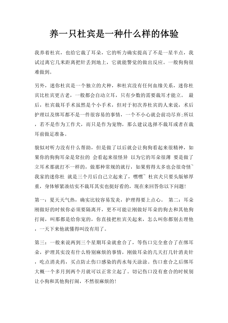 养一只杜宾是一种什么样的体验.docx_第1页