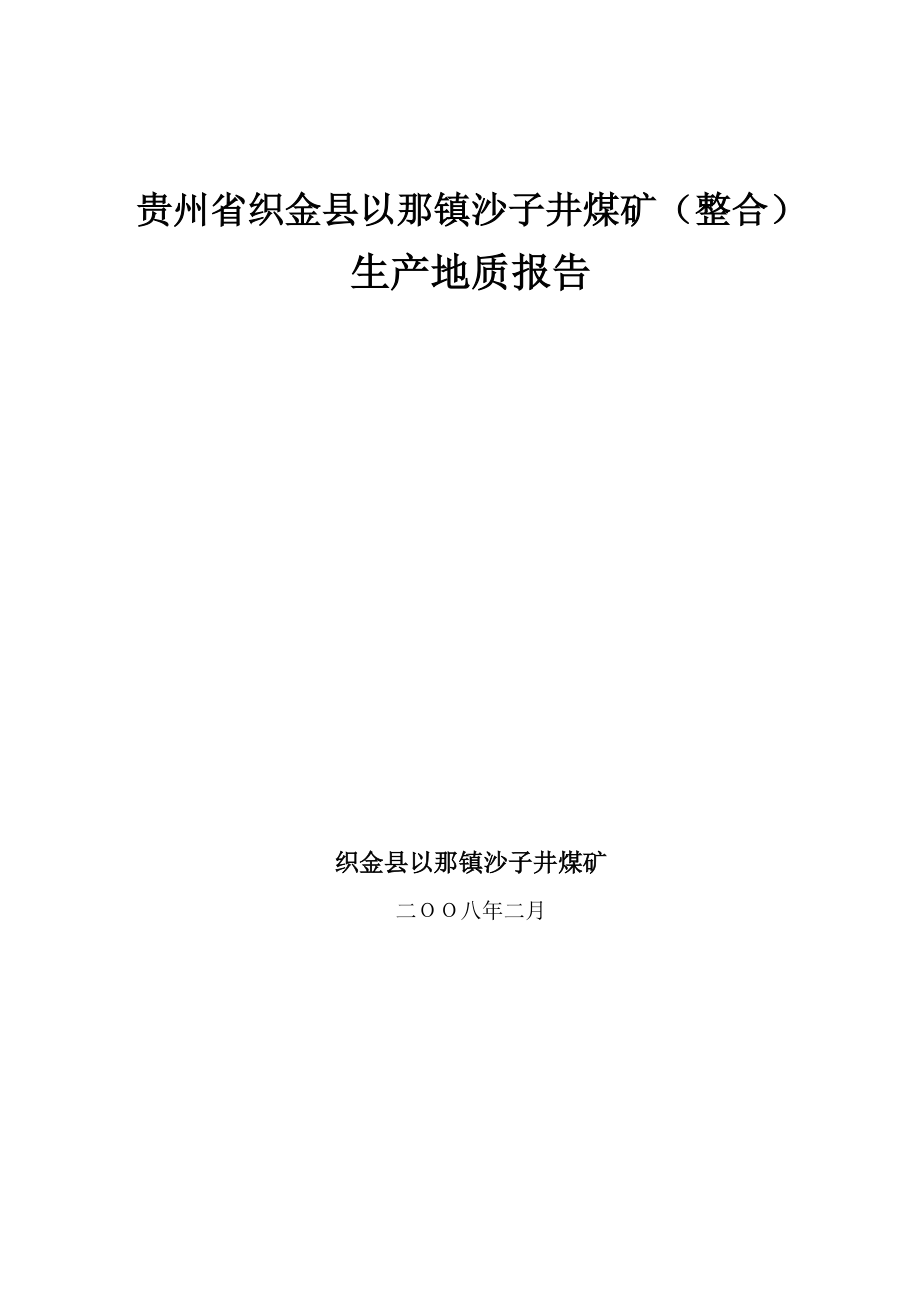 织金沙子井生产地质报告定稿.doc_第1页