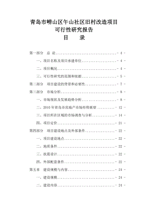 旧村改造项目可行性研究报告.doc