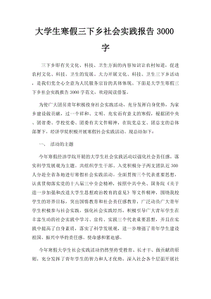 大学生寒假三下乡社会实践报告3000字.docx