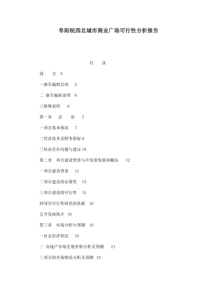 阜阳皖西北城市商业广场可行性分析报告.doc