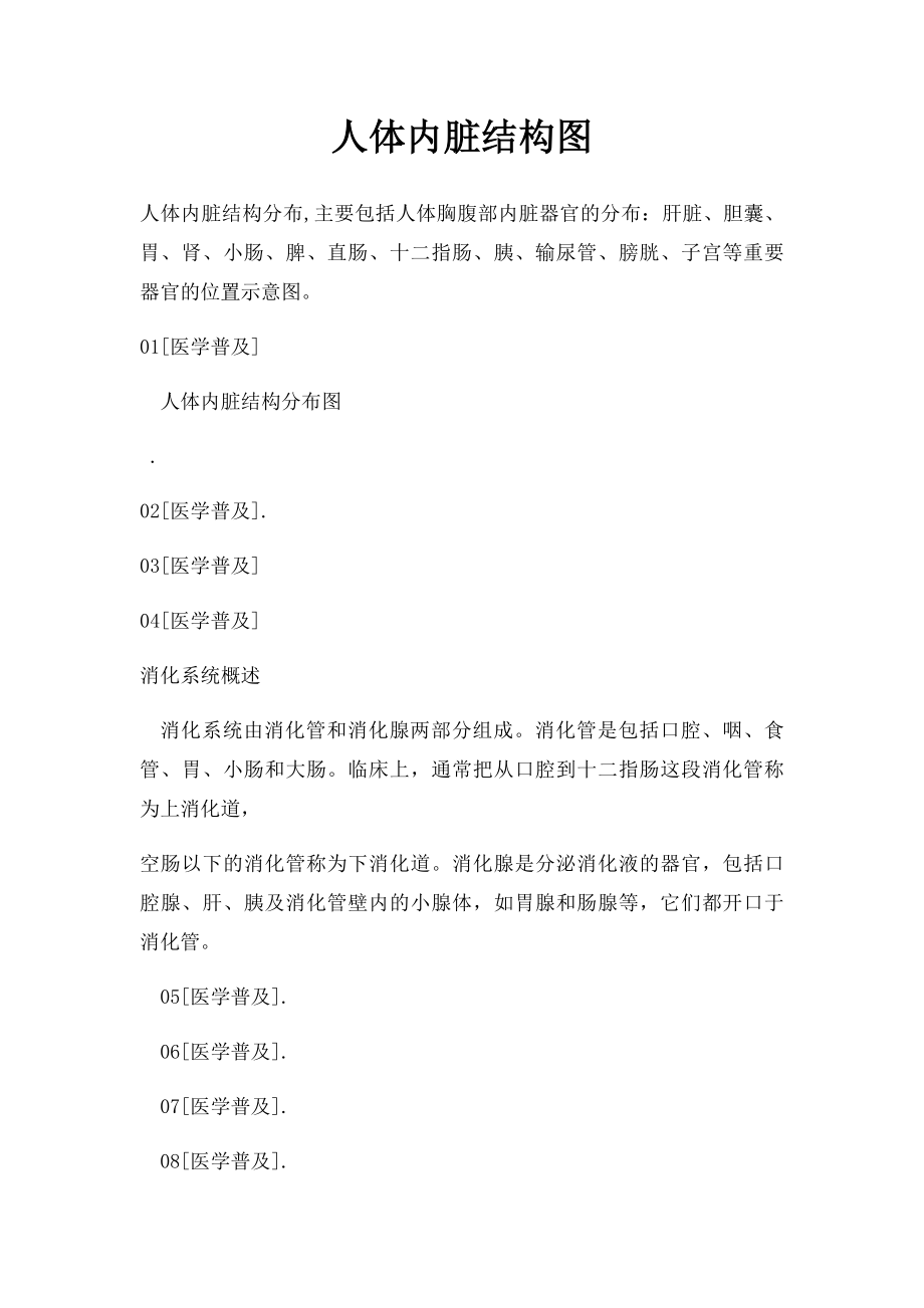 人体内脏结构图(1).docx_第1页