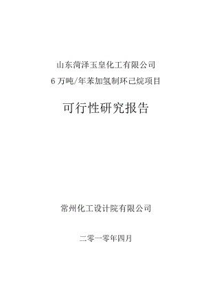 产6万吨苯加氢制环己烷项目可研.doc