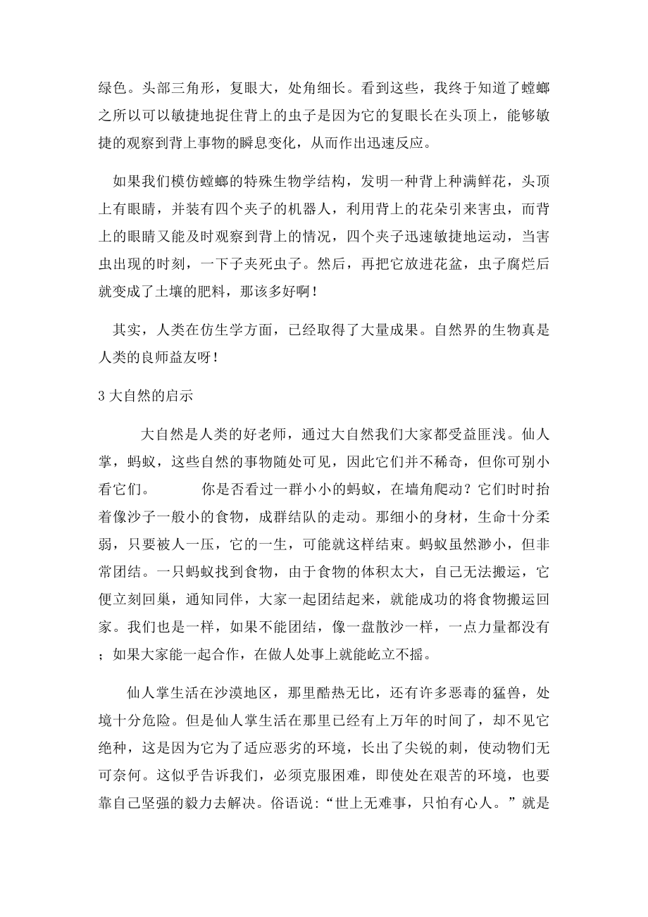 大自然给我们的启示.docx_第3页