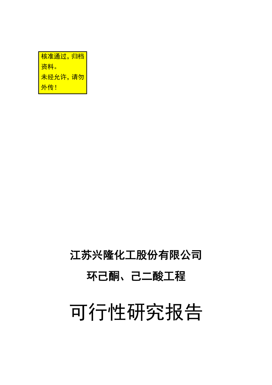 某某化工公司环己酮及己二酸工程项目可行性研究报告.doc_第1页