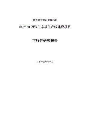 产50万张生态板生产线建设项目可行性研究报告.doc