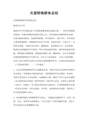 关爱特殊群体总结.docx