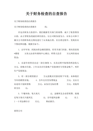 关于财务检查的自查报告.docx