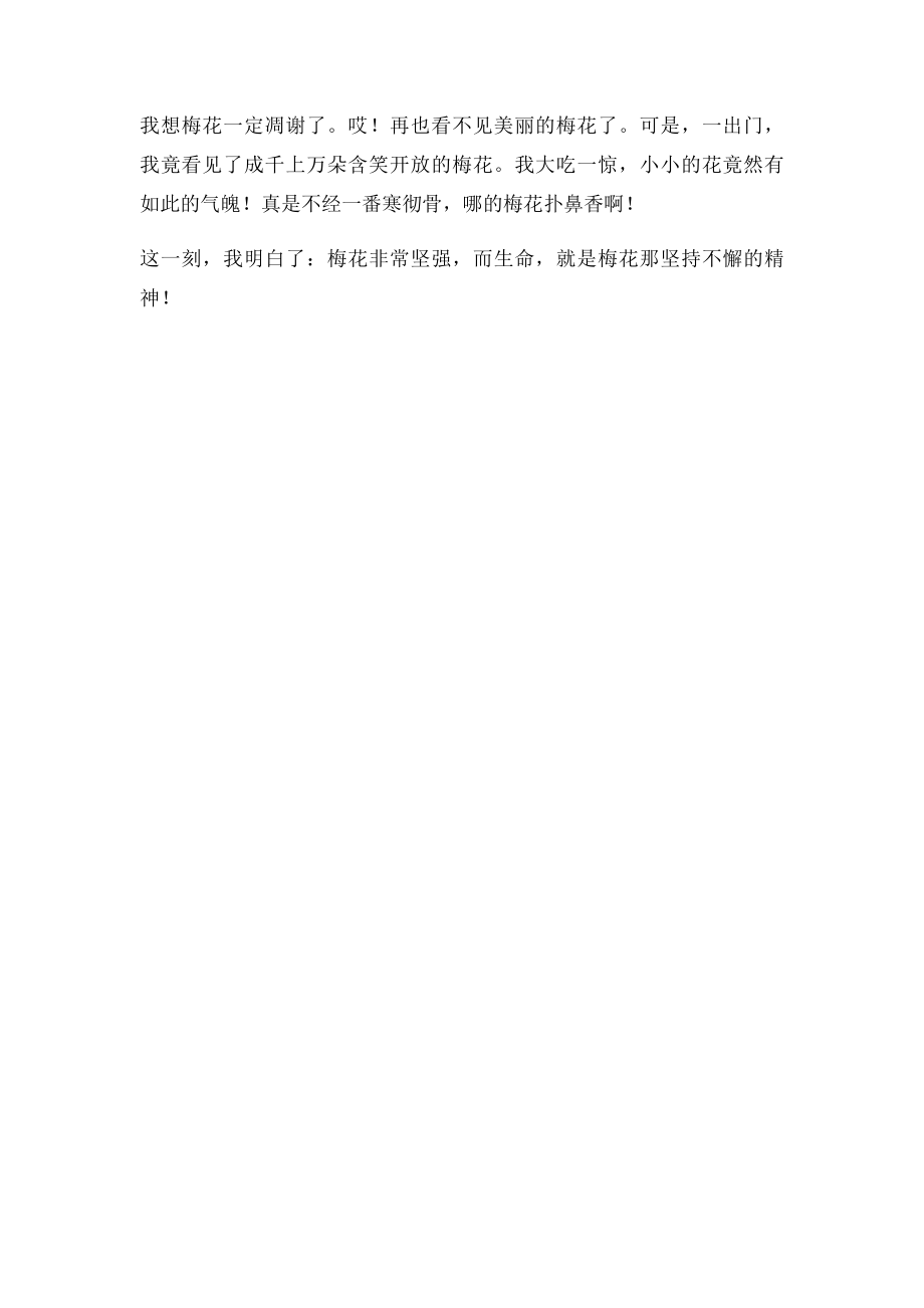 四年级作文生命是什么.docx_第2页