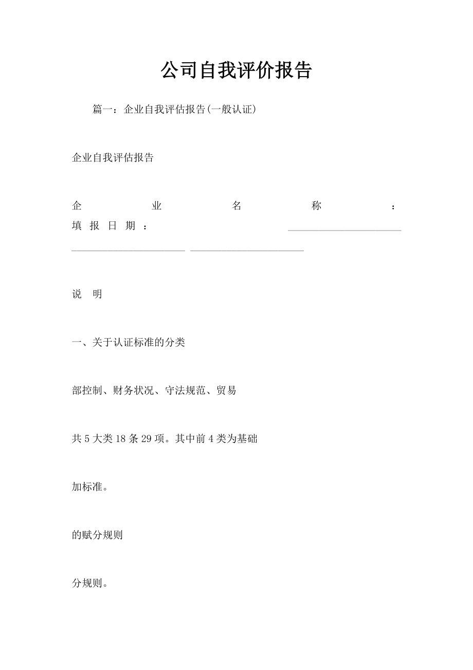 公司自我评价报告.docx_第1页