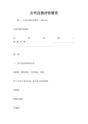 公司自我评价报告.docx