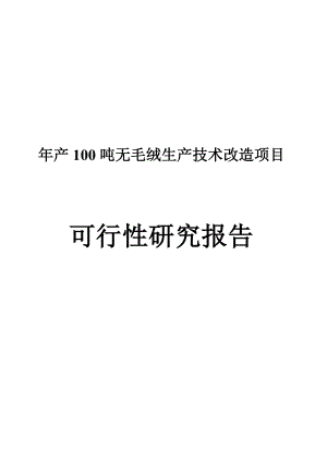 产100吨无毛绒生产技术改造项目可行性研究报告.doc