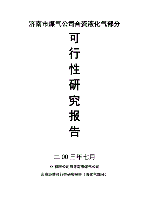 液化气合资经营项目可行性研究报告.doc