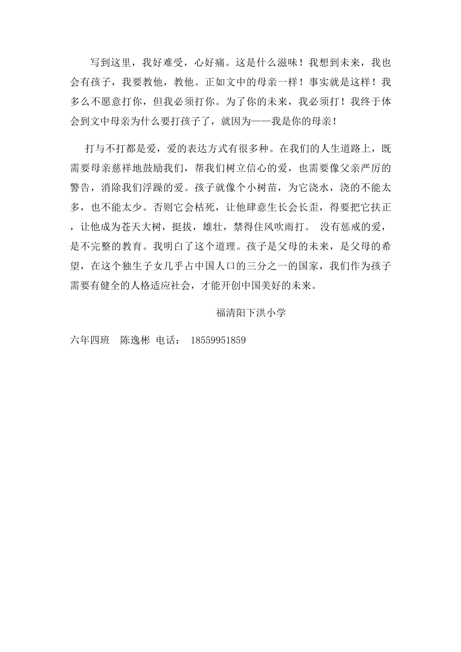 别样的母爱.docx_第2页