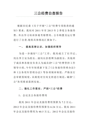 三公经费自查报告.docx