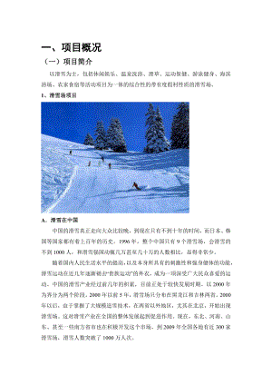 滑雪场项目可行性研究报告.doc