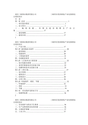 重庆三峡果业可行性研究报告.doc