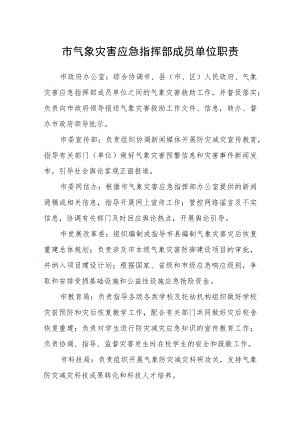 市气象灾害应急指挥部成员单位职责.docx