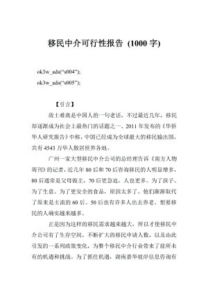 移民中介可行性报告 (1000字).doc