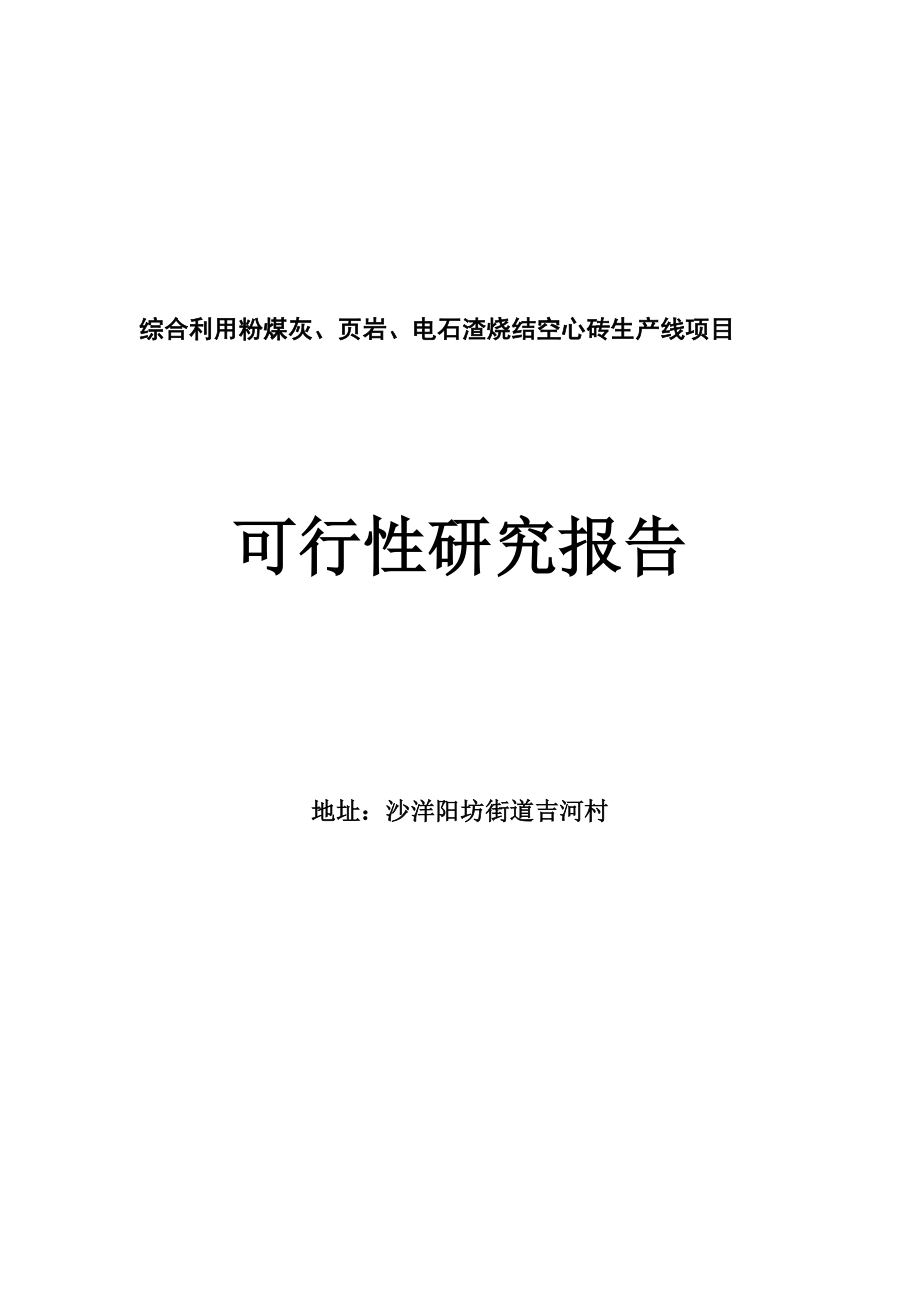 综合利用粉煤灰、页岩、电石渣烧结空心砖生产线项目可研报告.doc_第1页