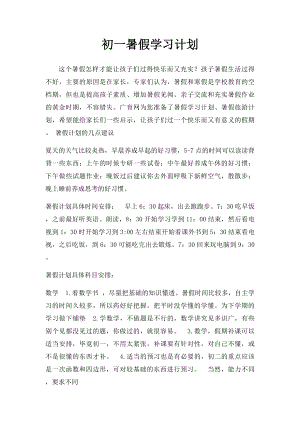 初一暑假学习计划.docx