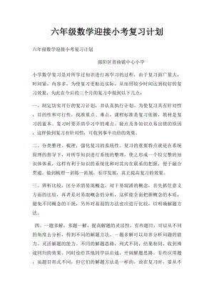 六年级数学迎接小考复习计划.docx