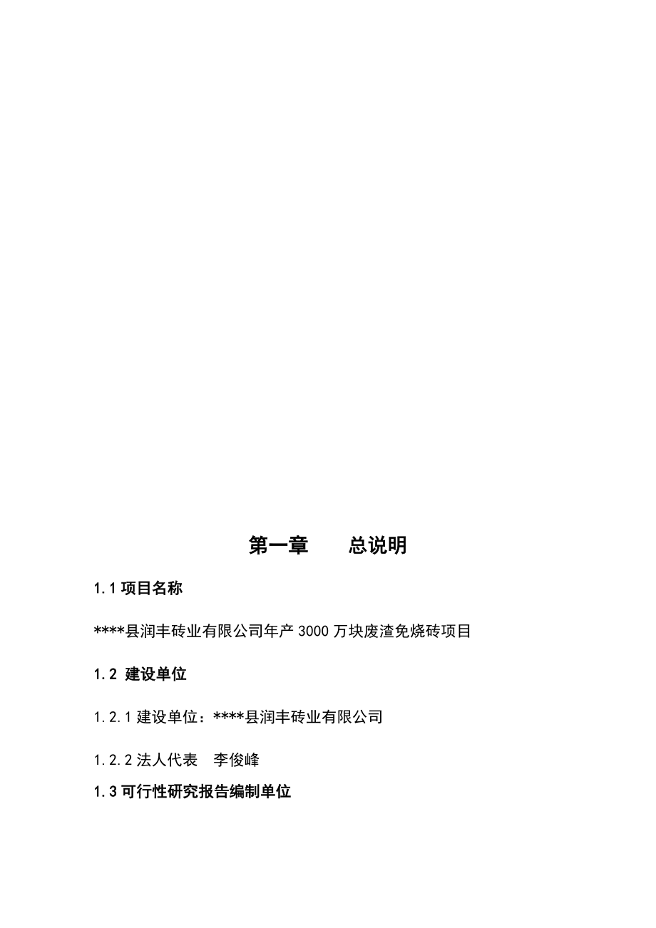 产3000万块废渣免烧砖项目建议书代可行性研究报告.doc_第3页