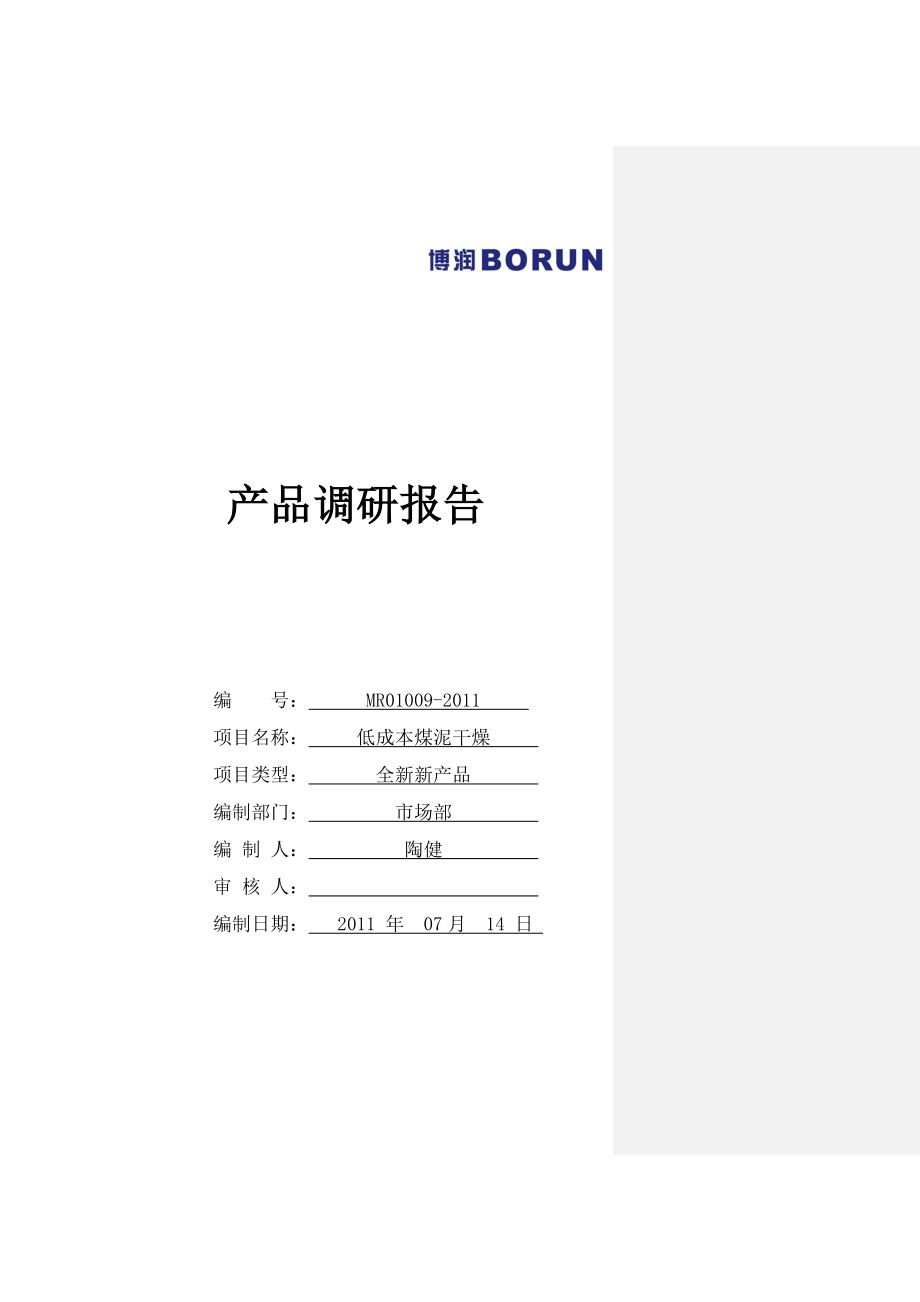 煤泥干燥调研报告.doc_第1页