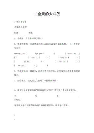 二金黄的大斗笠.docx