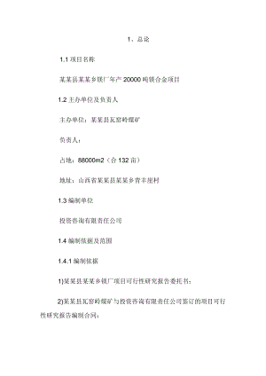 某某公司产20000吨镁合金项目可行性研究报告.doc