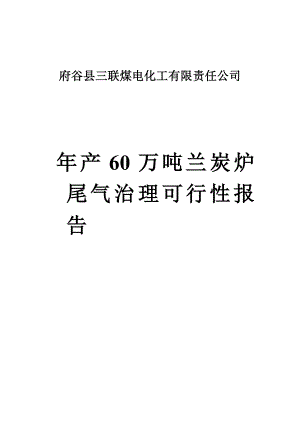 某煤电化工有限责任公司产60万吨兰炭炉尾气治理可行性报告.doc