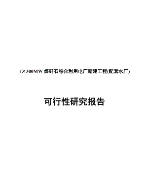 1×300MW煤矸石综合利用电厂新建工程(配套水厂)可行性研究报告.doc