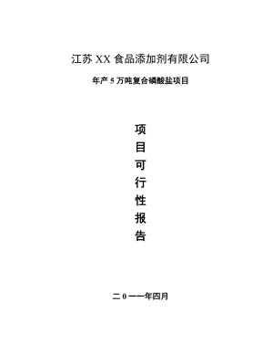 产5万吨复合磷酸盐项目可行性研究报告.doc