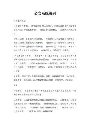 公安系统级别.docx