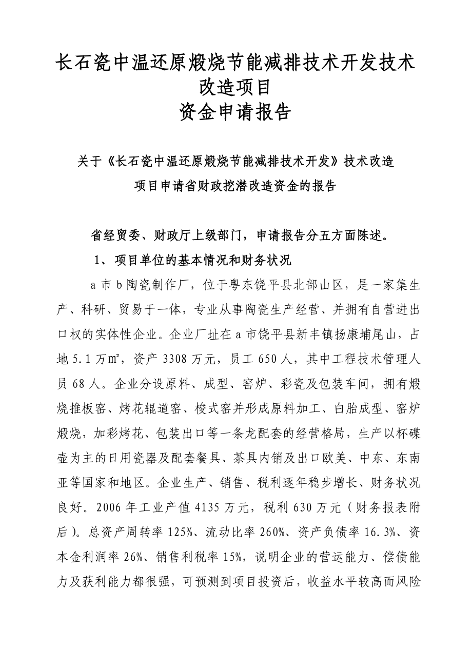 长石瓷中温还原煅烧节能减排技术开发技术改造项目资金申请报告代项目建议书.doc_第1页