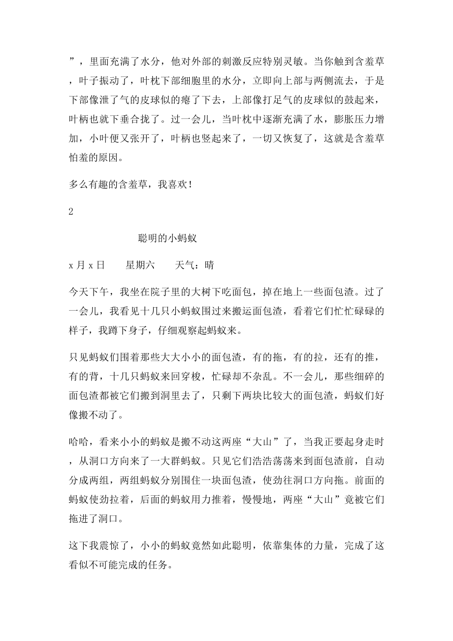 人教语文三年级上册第四单元作文Microsoft Word 文档.docx_第2页