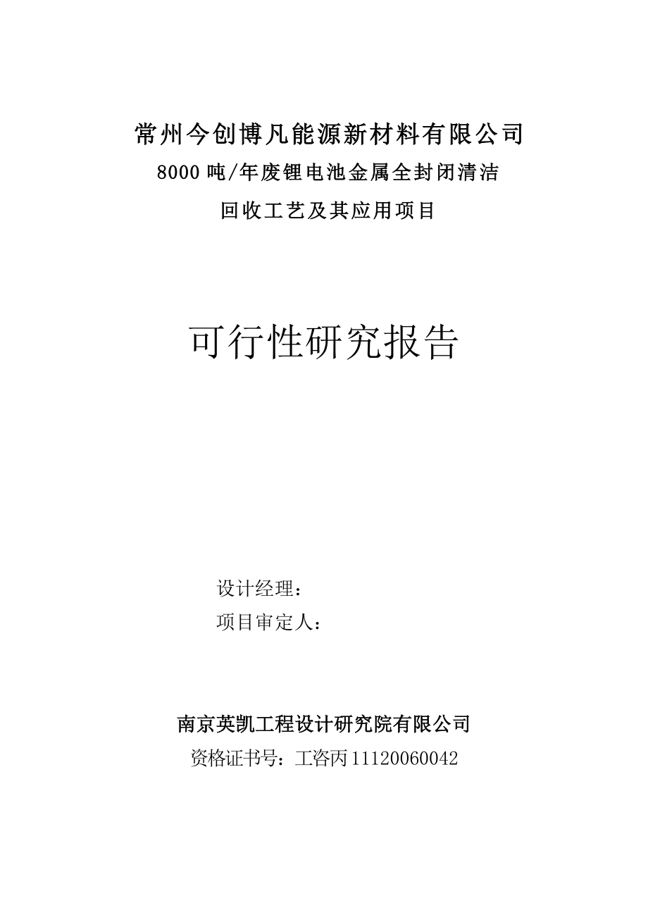 8000吨锂电池项目可研报告.doc_第2页