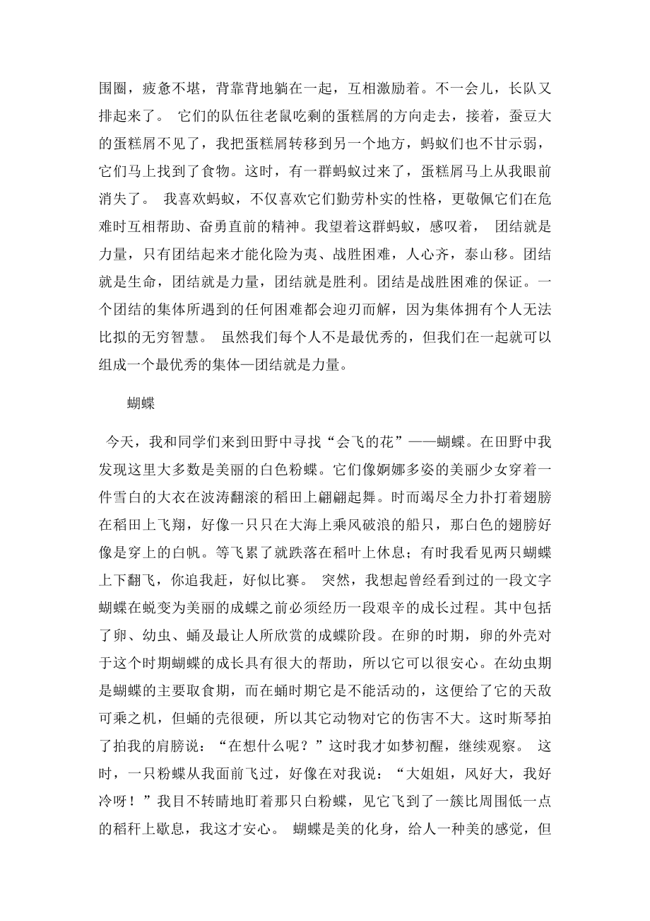 六年级上册语文第三课小练笔要有感受(1).docx_第3页