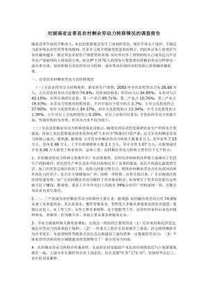 对湖南省宜章县农村剩余劳动力转移情况的调查报告.doc