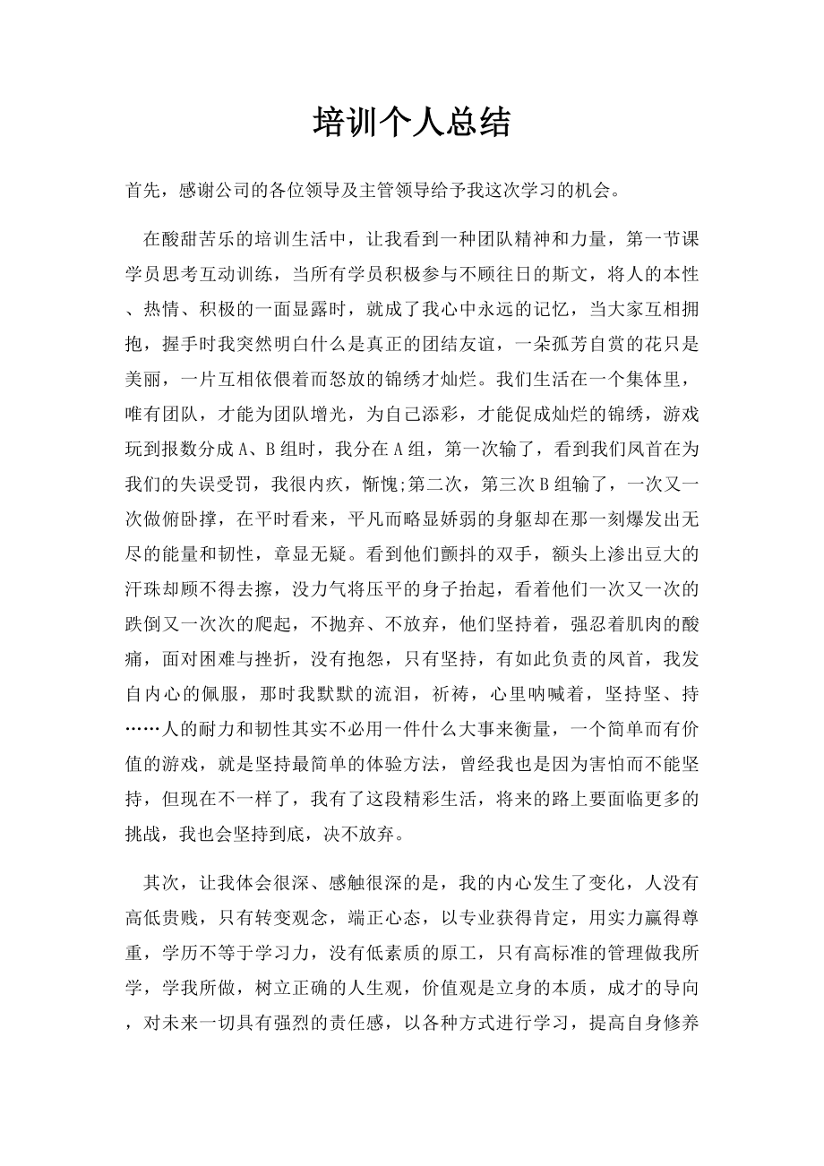 培训个人总结.docx_第1页