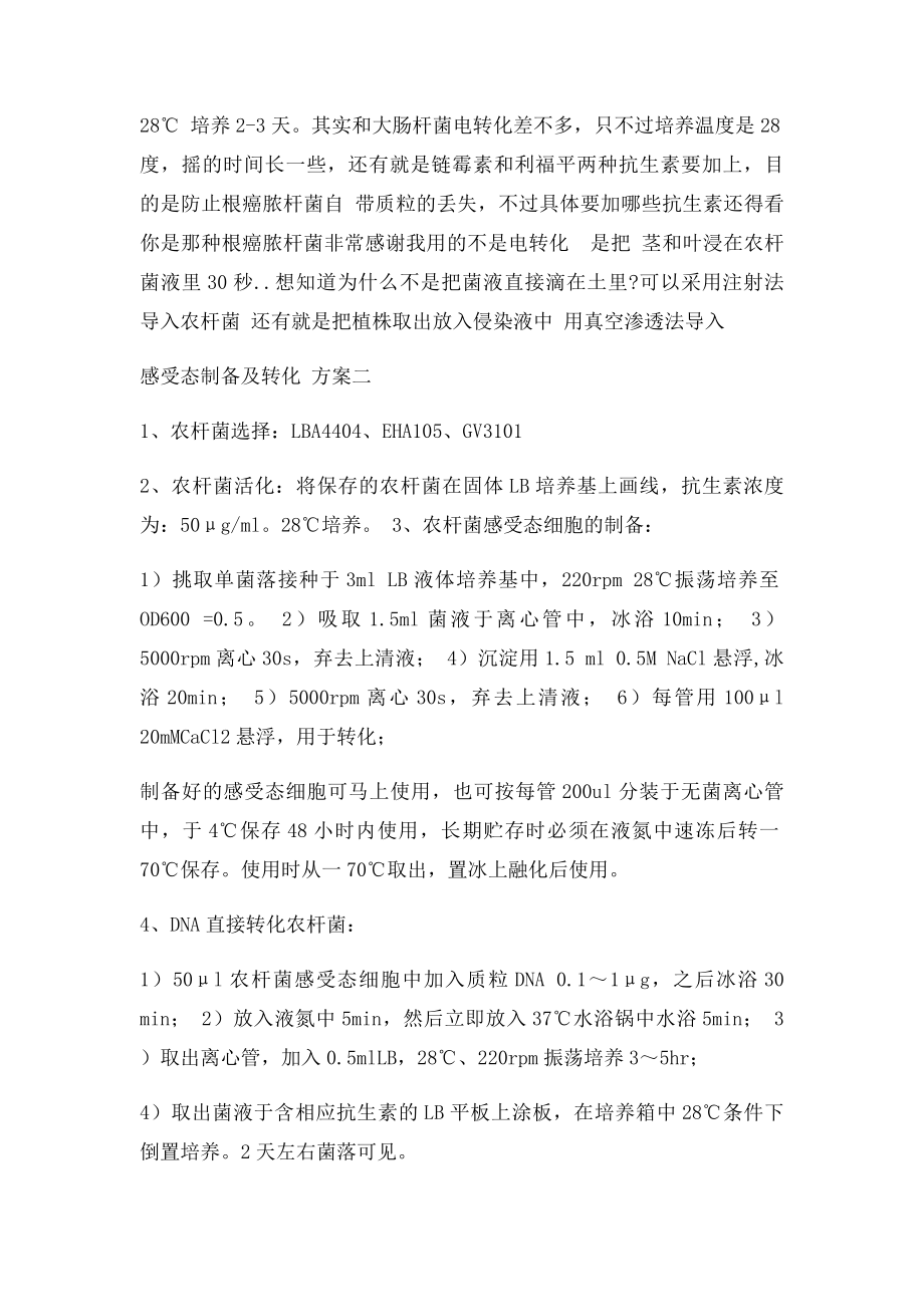 农杆菌电击感受态的制备,转化及验证.docx_第2页