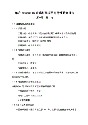 产6万吨无碱池窑玻璃纤维生产线项目可研报告.doc